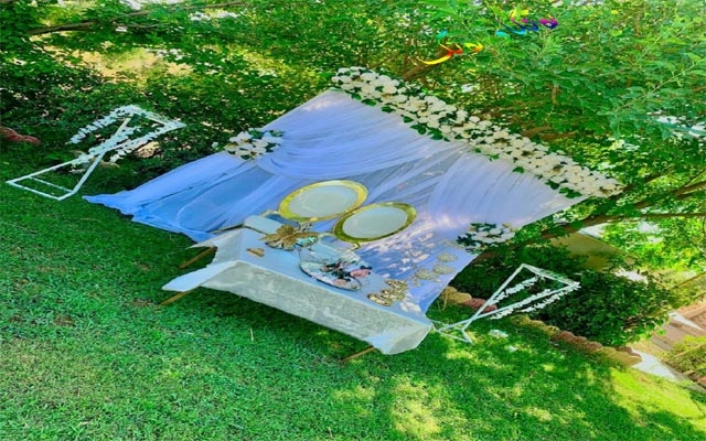 پەپوولە دیزاین پرۆژەیەكی بچووك و بەسوود