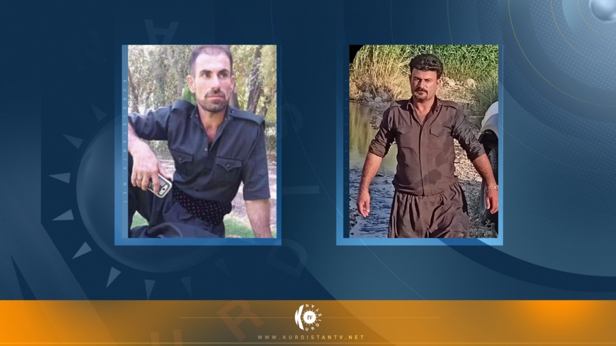 Terorîstên DIŞIê du pêşmerge revandin