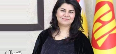 بەرەو کۆنگرە ..  پارتی دیموکراتی کوردستان  نوێبوونەوە و بەردەام بوون