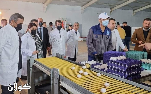 ڕۆژانە ١٣ هەزار کارتۆن هێلکە لە هەرێمی کوردستان بەرهەم دێت پێویستی رۆژانەی ناوخۆی هەرێمی کوردستان ٧ هەزار کارتۆن هێلکەیە