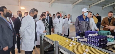 إقليم كوردستان ينتج نحو 5 ملايين بيضة يومياً ويصدر نصفها للمحافظات العراقية