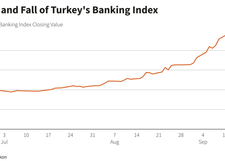 Turkish bank stocks' rollercoaster ride leaves investors reeling
