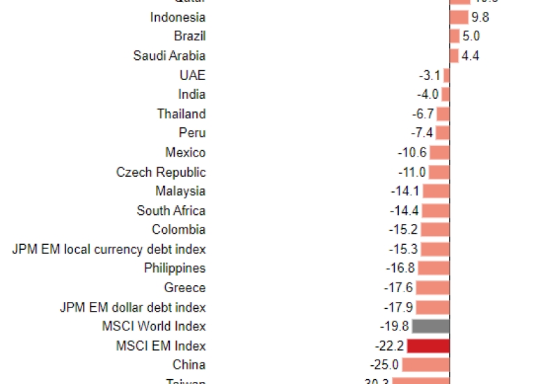 Turkish bank stocks' rollercoaster ride leaves investors reeling