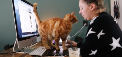 دراسة: الموظفون في جميع أنحاء العالم يفضلون العمل من المنزل