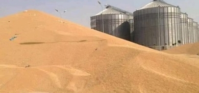 تجارة كوردستان تعلن تسلم مستحقات فلاحي الإقليم من بغداد