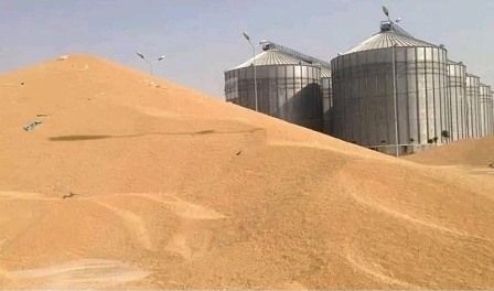 تجارة كوردستان تعلن تسلم مستحقات فلاحي الإقليم من بغداد