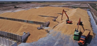 الحكومة الاتحادية تطلق مستحقات فلاحي اقليم كوردستان لثلاثة أعوام