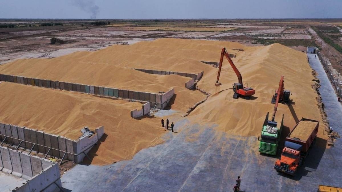 الحكومة الاتحادية تطلق مستحقات فلاحي اقليم كوردستان لثلاثة أعوام