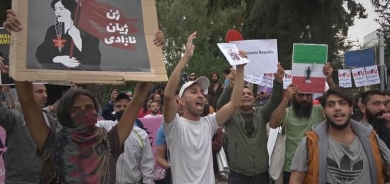 Li gelek welatan xwepêşandanên ji bo Jîna Emînî hatin kirin