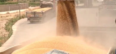 بغداد توافق على تسديد دفعة جديدة من المستحقات المتأخرة لفلاحي كوردستان