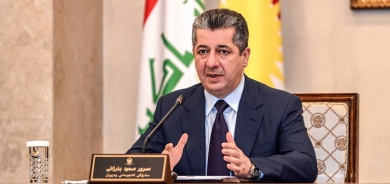 Council of Ministers approves decree regarding Reform Law