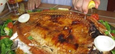 خبير تغذية : تناول الأسماك يقضي على الإجهاد