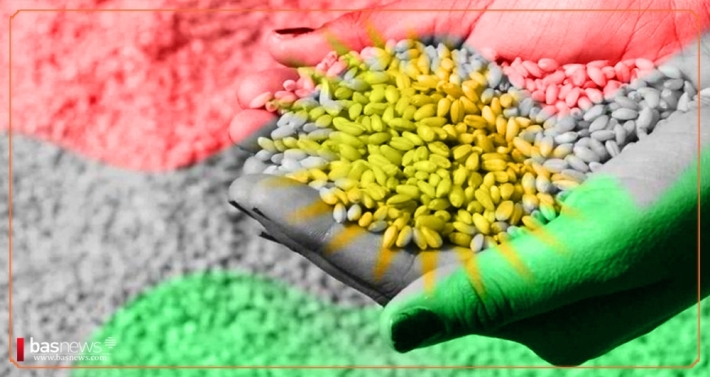 للمرة الأولى .. إقليم كوردستان يصدر بذور القمح إلى خارج البلاد