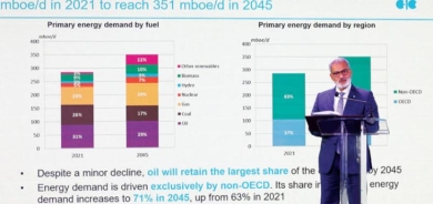 «أوبك»: خفض الإنتاج لمنع أزمة لاحقة