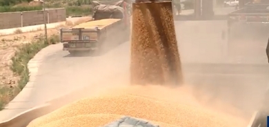 الحكومة العراقية تسدد دفعة جديدة من المستحقات المتأخرة لمزارعي كوردستان