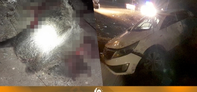 Berazek bû sedema mirina welatiyekî