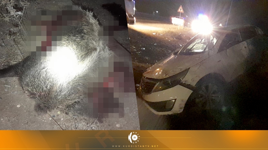 Berazek bû sedema mirina welatiyekî