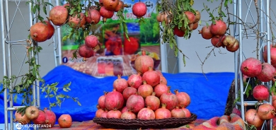 8emîn Festîvala Hinar û Payîzê li Helebce tê lidarxistin