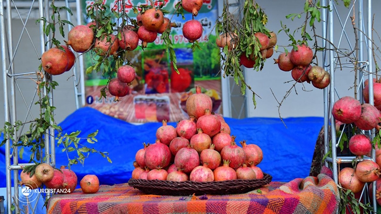 8emîn Festîvala Hinar û Payîzê li Helebce tê lidarxistin