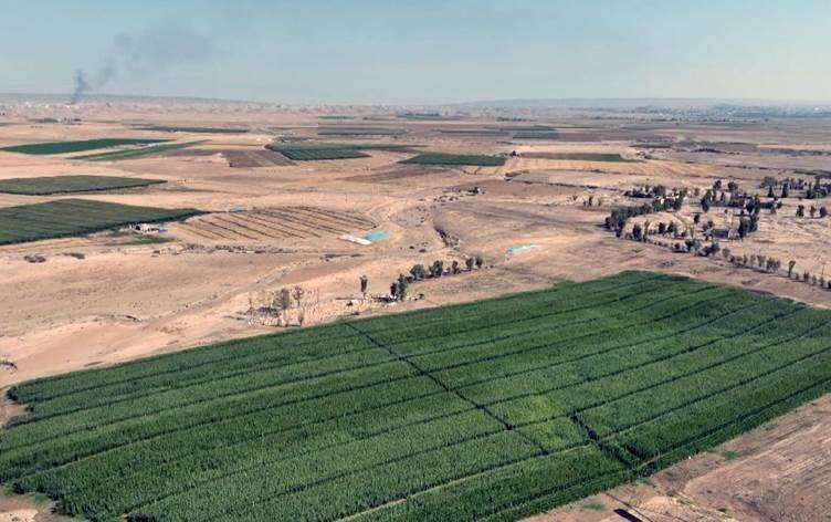 الجيش العراقي يمنع الفلاحين الكورد من العمل في أراضيهم بناحية سركران بكركوك