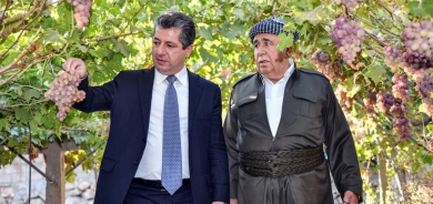 Investment in Kurdistan Region’s agriculture sector surges to 10%