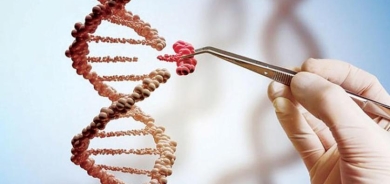 عقار جديد يعمل بتقنية التعديل الوراثي لعلاج «قصور القلب»