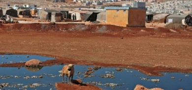 HRW: Tirkiye sedema sereke ya belav bûna Kolêrayê ye