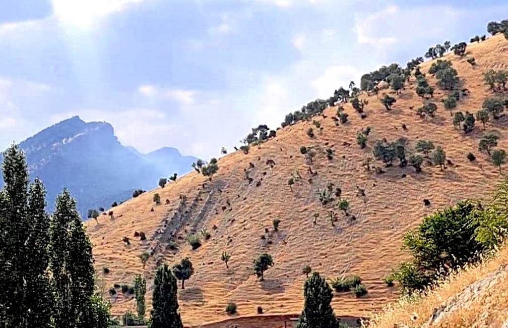 طائرات تركية تشن غارتين على جبل متين في قضاء العمادية