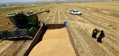 Îmarat hewl dide berhemên çandiniyê yên Kurdistanê bike markayeke cîhanî