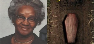 دووبارە زیندوو دەبێتەوە