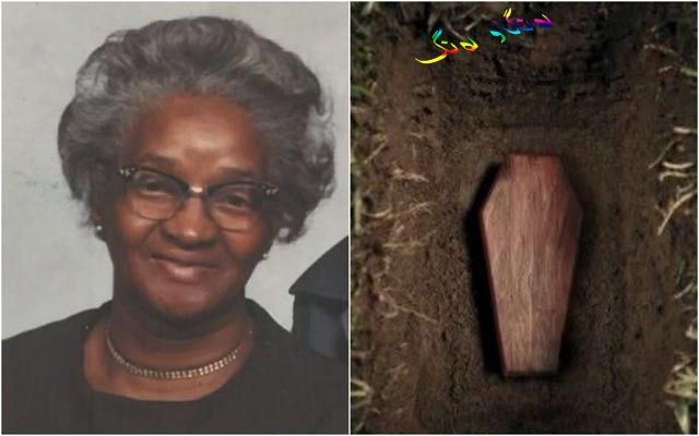 دووبارە زیندوو دەبێتەوە