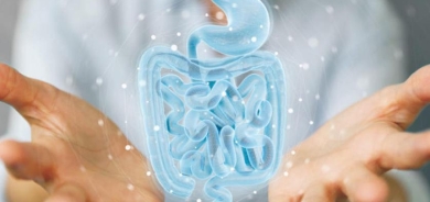 كيف تؤثر حياة الإنسان الاجتماعية على أمعائه؟