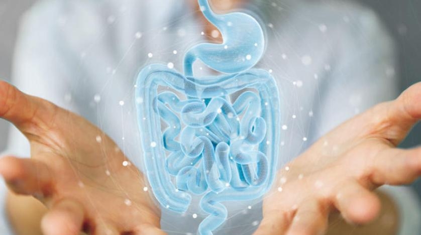 كيف تؤثر حياة الإنسان الاجتماعية على أمعائه؟