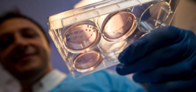 كيف يضر «كورونا» خلايا الدماغ؟