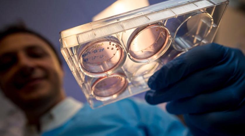 كيف يضر «كورونا» خلايا الدماغ؟