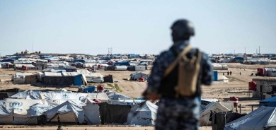 Heft rêxistinên mirovî karê xwe li Kampa Holê rawestandin