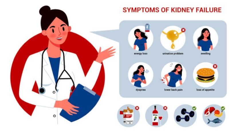 4 سلوكيات يومية تسبب الأذى للكليتين