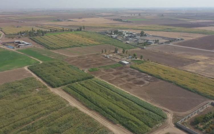 محكمة كركوك تعيد 3000 دونم من الأراضي الزراعية لفلاحين كورد