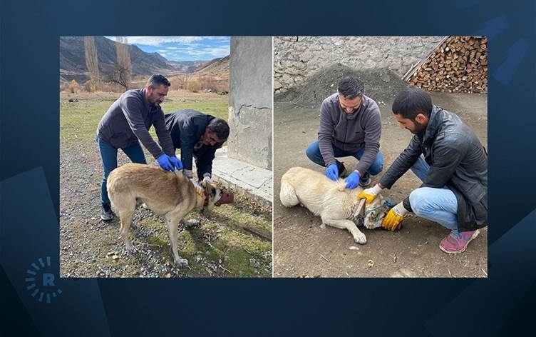 Li Qersê ji ber 'nexweşiya harbûnê' gundek hat karantînekirin
