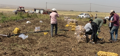 Hewla zêdekirina rola Herêma Kurdistanê bo dabînkirina asayişa xwarekê li Iraqê tê dayîn