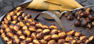 تعرفوا على فوائد الكستناء للجسم