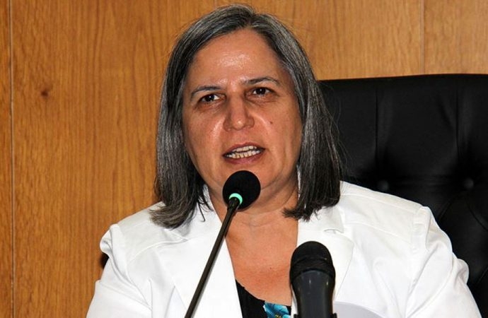 HDP berbijêrê xwe bo Serokatiya Komar ya Tirkiyeyê dayarî kir