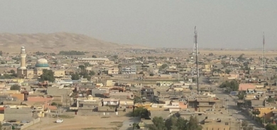 Li Xurmatû ciwanek hate kuştin