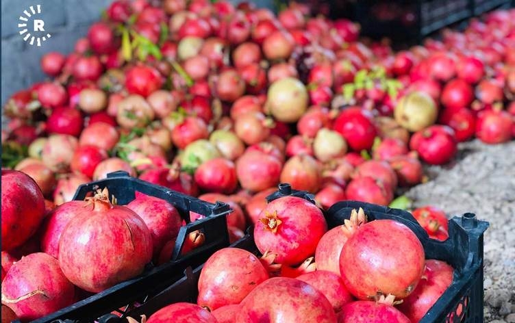 Kurdistan piştî hinaran dê sê berhemên din jî hinarde bike