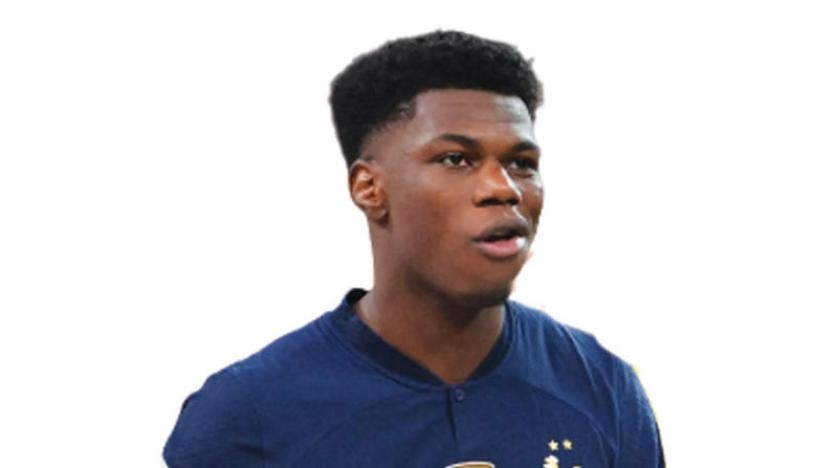 غضب من «رسائل عنصرية» تطال «ديوك» فرنسا