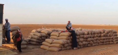 Amerîka îsal jî tovê genim dişîne Rojavayê Kurdistanê