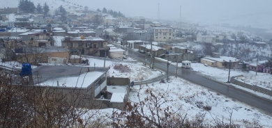 Hacomeran kincên spî liber kir