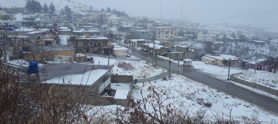 Hacomeran kincên spî liber kir