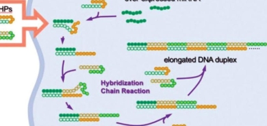 طريقة جديدة لقتل خلايا السرطان