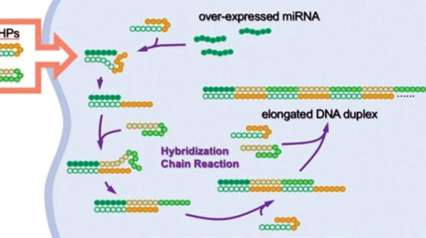 طريقة جديدة لقتل خلايا السرطان